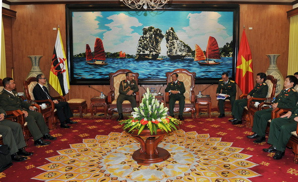 Việt Nam và Brunei tăng cường hợp tác trong lĩnh vực quốc phòng ảnh 2