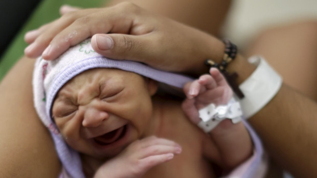 WHO ban bố tình trạng khẩn cấp y tế toàn cầu về virus Zika ảnh 1