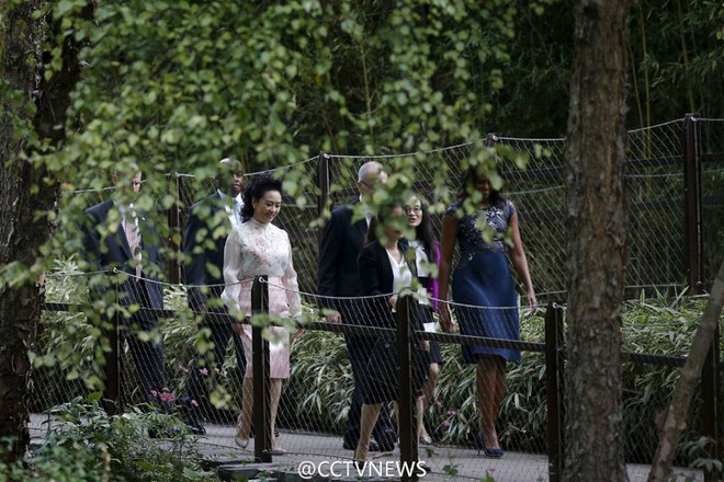 [Photo] Đệ nhất phu nhân Trung Quốc và Mỹ giao lưu trong công viên ảnh 4