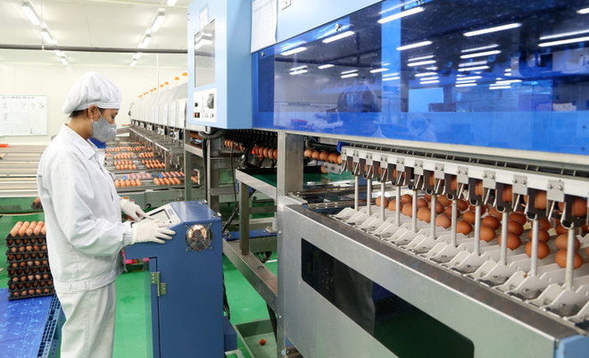 Phú Thọ thu hút vốn FDI từ đổi mới cách thức xúc tiến đầu tư ảnh 1