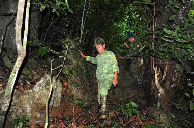 Đến Na Hang, gặp "cuốn từ điển sống" về rừng nơi đại ngàn Lũng Vai ảnh 1