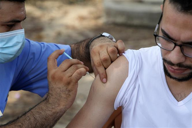 Vaccine ngừa COVID-19 tiếp theo có thể được bào chế từ thực vật ảnh 1