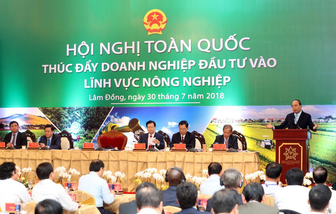 Thủ tướng Nguyễn Xuân Phúc phát biểu kết luận tại hội nghị. (Ảnh: Thống Nhất/TTXVN) Đưa nông nghiệp Việt Nam vào top 15 nước phát triển nhất thế giới ảnh 2
