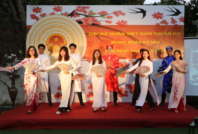 Tôn vinh bản sắc Việt trong ngày Tết cộng đồng tại Ấn Độ ảnh 1