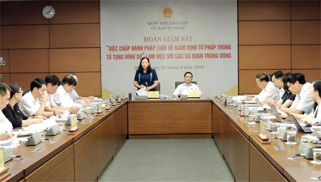 Nhiều vụ án kéo dài vì không có kết luận giám định tư pháp ảnh 1