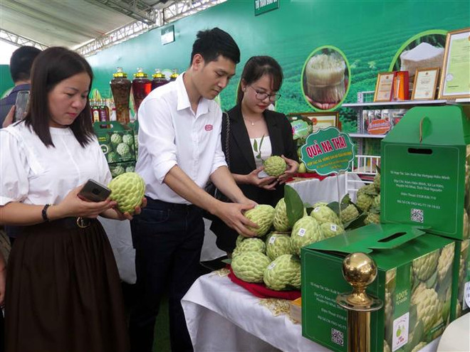 Lễ hội "Võ Nhai mùa na chín": Kết nối tiêu thụ nông sản Thái Nguyên ảnh 1