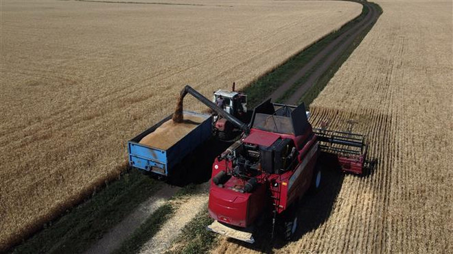 EU và các ngân hàng châu Âu đẩy mạnh hỗ trợ Ukraine xuất khẩu ngũ cốc ảnh 1