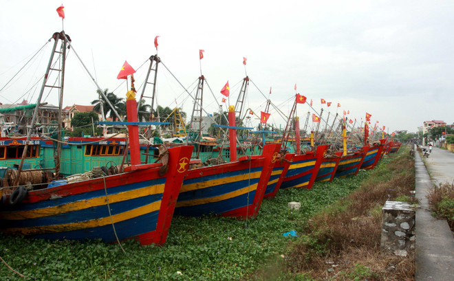 Sáng 2/8, bão số 3 mạnh cấp 9 di chuyển vào phía Bắc của Vịnh Bắc Bộ ảnh 1