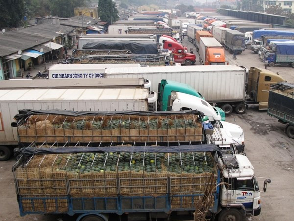 Ngành tài chính tính đưa kinh doanh vận tải vào diện kê khai giá ảnh 1