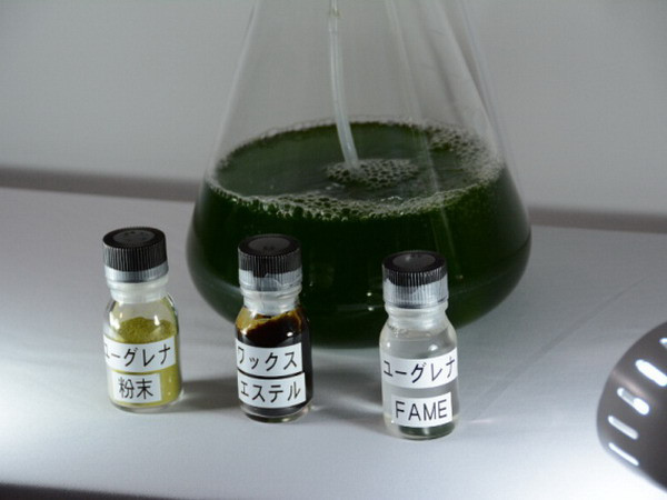 Isuzu phát triển nhiên liệu sinh học từ vi tảo cho xe ôtô ảnh 1