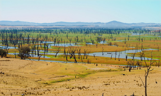 Cảnh báo hiện tượng thời tiết cực đoan El Nino tăng tần suất ảnh 1