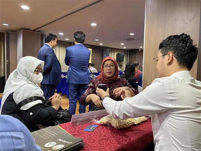 Đại diện doanh nghiệp Việt Nam và Indonesia trao đổi, tìm kiếm cơ hội hợp tác tại Hội thảo giao thương doanh nghiệp Việt Nam-Indonesia ở Jakarta, ngày 21/6/2023. (Ảnh: Hữu Chiến/TTXVN) "Ngoại giao cây tre": Hòa bình để phát triển là mục tiêu cao nhất ảnh 2
