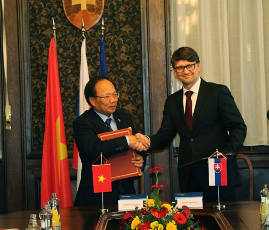 Việt Nam thúc đẩy hợp tác văn hóa nghệ thuật với Slovakia ảnh 1