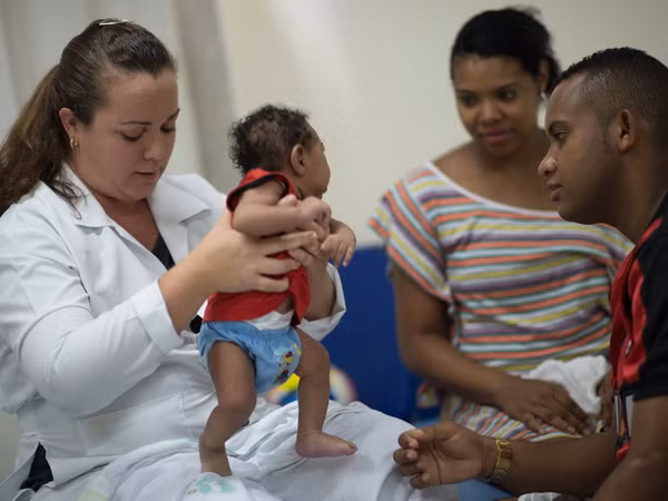 Virus Zika có thể sinh sôi trong não của các thai nhi và nhau thai ảnh 1