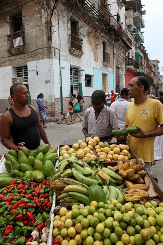 Vì sao La Habana được chọn là thành phố kỳ quan của thế giới? ảnh 11