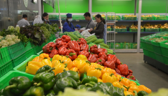 Kim ngạch xuất khẩu rau quả 8 tháng của Việt Nam tăng hơn 14% ảnh 1