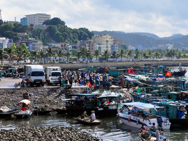 Bão số 1: Hải Phòng đã có gió giật trên cấp 12 và mưa rất to ảnh 1