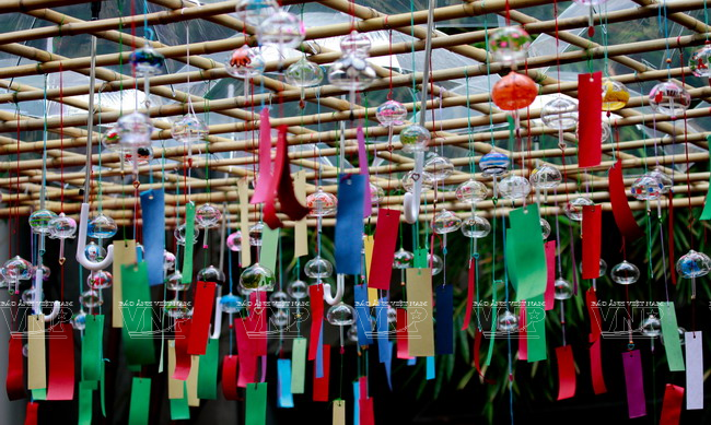 [Photo] Lễ hội chuông gió - nét văn hóa độc đáo Xứ hoa Anh đào ảnh 7