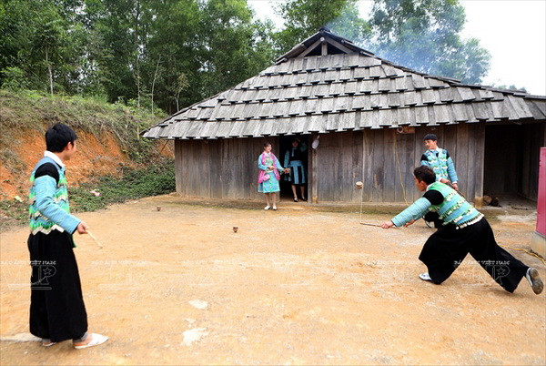 Sắc Xuân nở rộ trên khắp mọi miền Tổ quốc Việt Nam ảnh 11