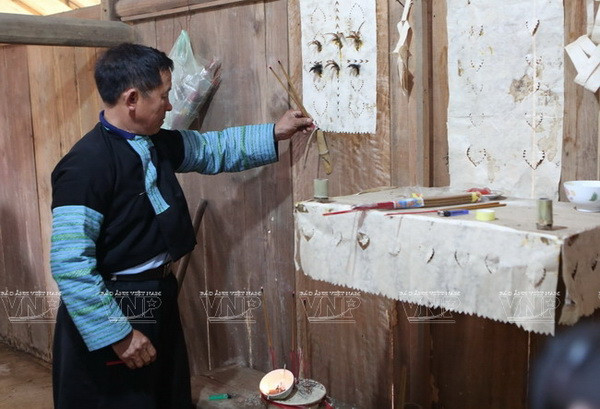 Sắc Xuân nở rộ trên khắp mọi miền Tổ quốc Việt Nam ảnh 10