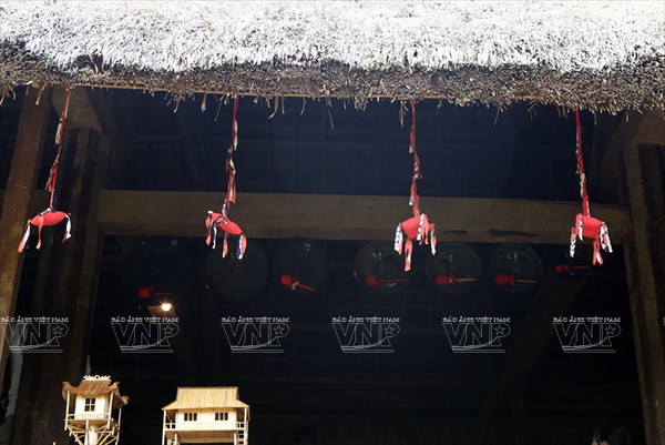 Sắc Xuân nở rộ trên khắp mọi miền Tổ quốc Việt Nam ảnh 9