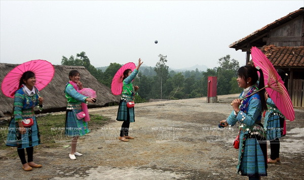 Sắc Xuân nở rộ trên khắp mọi miền Tổ quốc Việt Nam ảnh 12