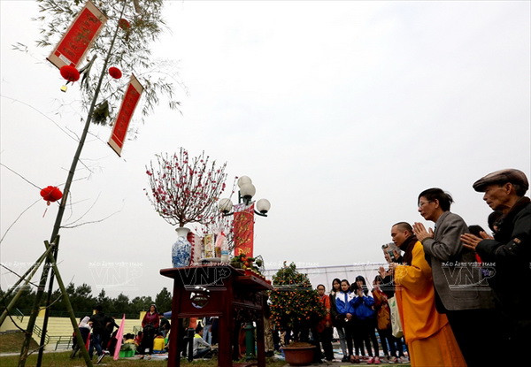 Sắc Xuân nở rộ trên khắp mọi miền Tổ quốc Việt Nam ảnh 3