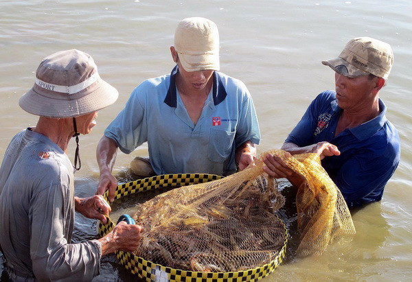 Việt Nam tham dự đối thoại xuất nhập khẩu nông, thủy sản tại Mexico ảnh 1