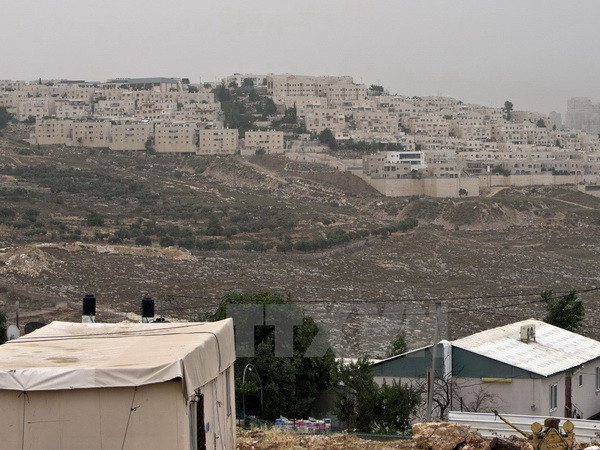Israel mời thầu xây dựng 77 ngôi nhà định cư ở Đông Jerusalem ảnh 1
