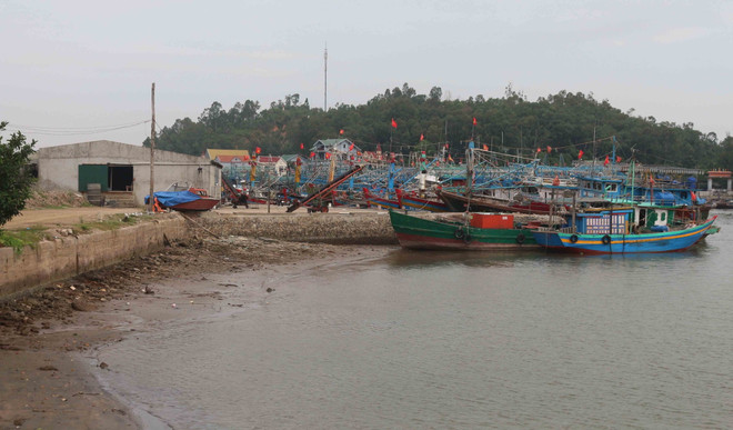 Nghệ An: Cần sớm xử lý việc lấn chiếm cảng Lạch Quèn ảnh 1