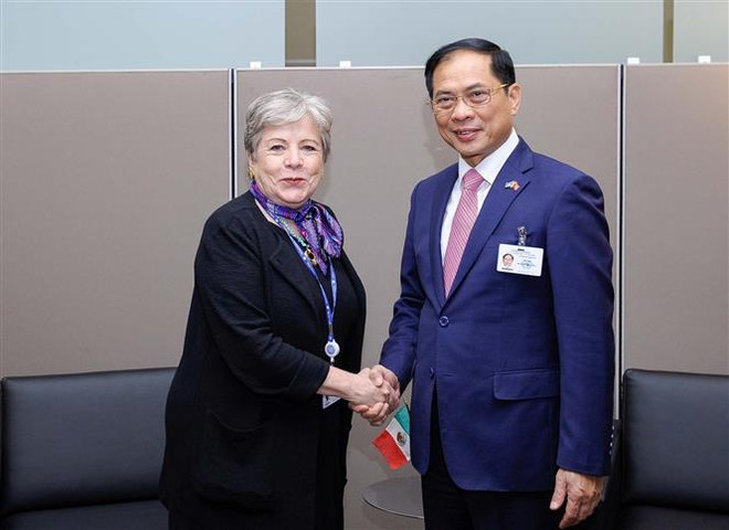 Bộ trưởng Ngoại giao tiếp xúc song phương với quan chức Mexico, Iran ảnh 2