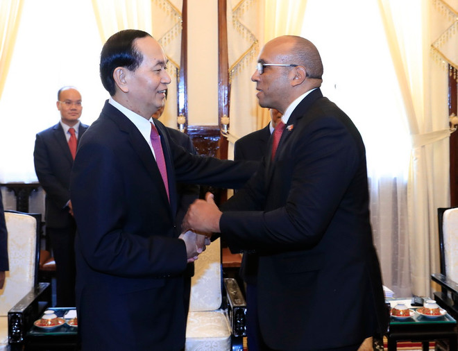 Chủ tịch nước Trần Đại Quang tiếp Đại sứ Cộng hòa Cuba ảnh 2