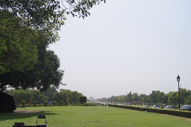 Cây xanh che chở cho người Ấn Độ trong cái nắng "luộc da" ảnh 1