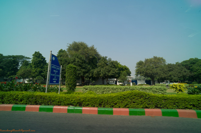 Cây xanh che chở cho người Ấn Độ trong cái nắng "luộc da" ảnh 2