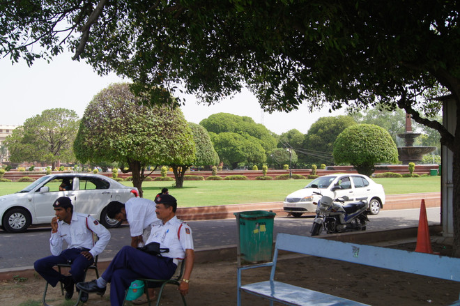 Cây xanh che chở cho người Ấn Độ trong cái nắng "luộc da" ảnh 3