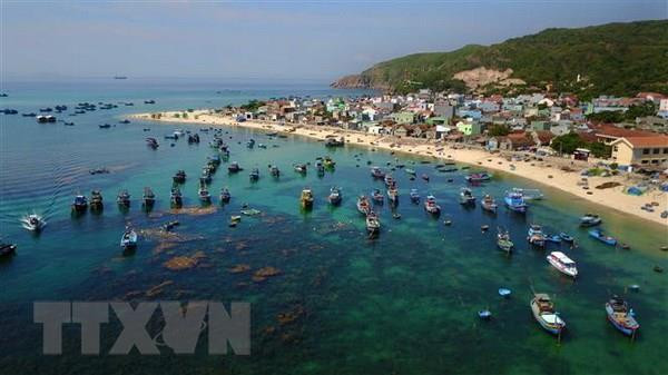 Ảnh minh họa. (Nguồn: TTXVN) Thủ tướng Chính phủ ban hành Chỉ thị về phát triển bền vững ảnh 1