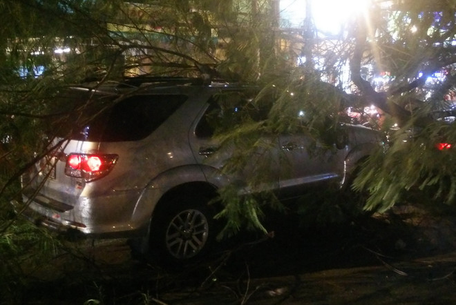 Hiện trường cây đổ đè trúng hai xe ôtô. (Nguồn: TTXVN) TP Hồ Chí Minh: Cây lớn bật gốc đè bẹp hai xe ôtô đang dừng đèn đỏ ảnh 3
