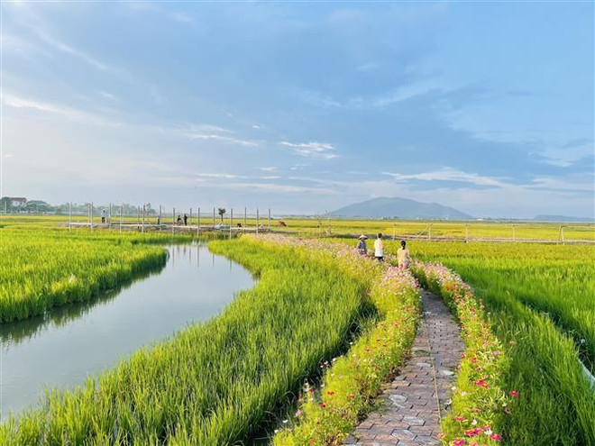 Phá vỡ các rào cản để người nông dân hướng đến nền nông nghiệp xanh ảnh 3