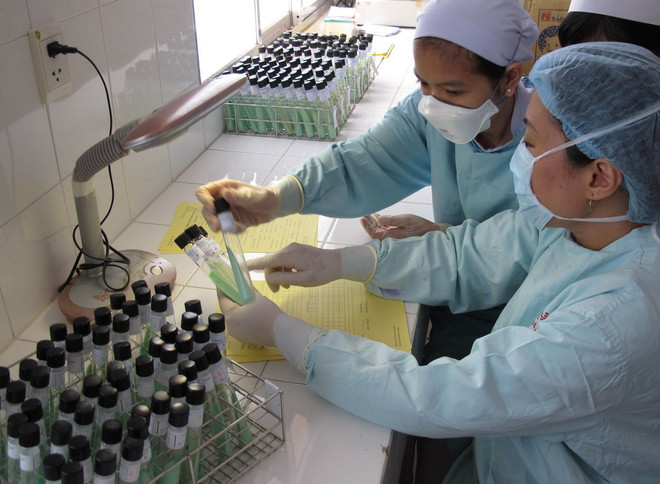 WHO: Số người mắc bệnh lao trên toàn thế giới giảm mạnh ảnh 1