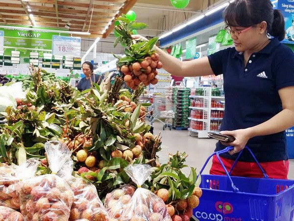 Nhiều siêu thị hỗ trợ nông dân tiêu thụ hàng trăm tấn vải tươi ảnh 1