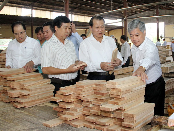 Không cấp phép cơ sở chế biến gỗ không đúng quy hoạch ảnh 1