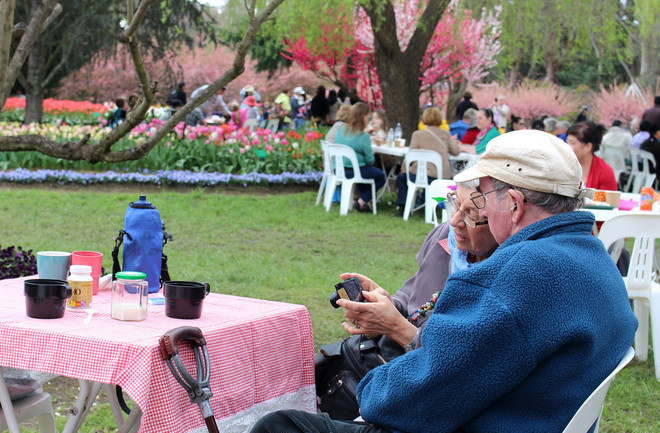 [Photo] Lạc giữa công viên hoa tulip rộng 10ha ở Australia ảnh 6