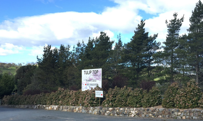 [Photo] Lạc giữa công viên hoa tulip rộng 10ha ở Australia ảnh 1