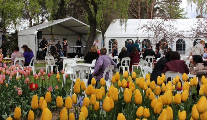 [Photo] Lạc giữa công viên hoa tulip rộng 10ha ở Australia ảnh 8