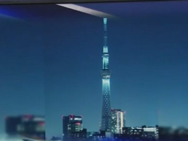 Chủ trương xây tháp truyền hình "đa mục tiêu" đã có từ năm 1995 ảnh 1