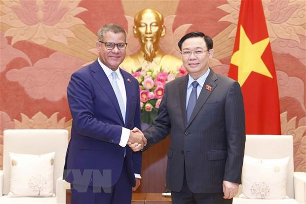 Chủ tịch Quốc hội Vương Đình Huệ tiếp Chủ tịch COP26 Alok Kumar Sharma ảnh 2