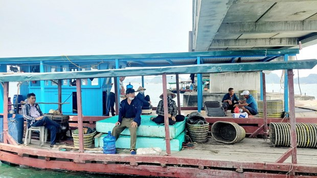 Đình chỉ bốn cán bộ liên quan vụ nuôi trồng trái phép ở Bái Tử Long ảnh 1