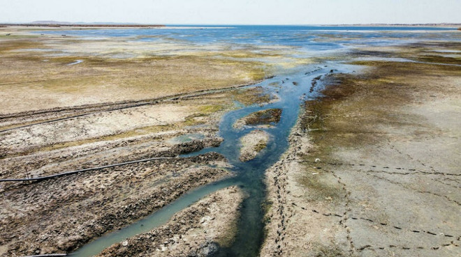 Cảnh báo thảm họa nhân đạo ở Syria do sông Euphrates ngày càng thu hẹp ảnh 1