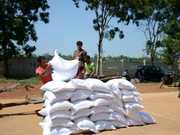 Thủ tướng Chính phủ chỉ đạo hỗ trợ Gia Lai và Lào Cai 975 tấn gạo ảnh 1