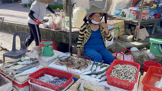 Ngư dân vùng bãi ngang Quảng Trị được mùa đánh bắt hải sản ảnh 3